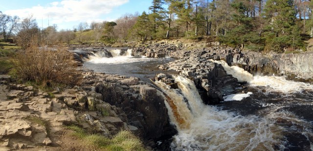 Low Force